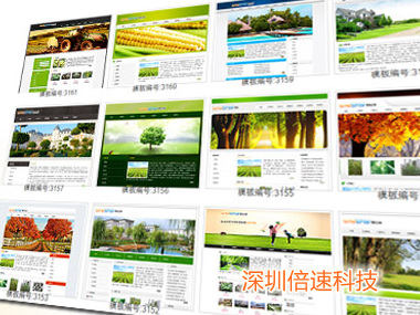 网站优化与付费推广对比